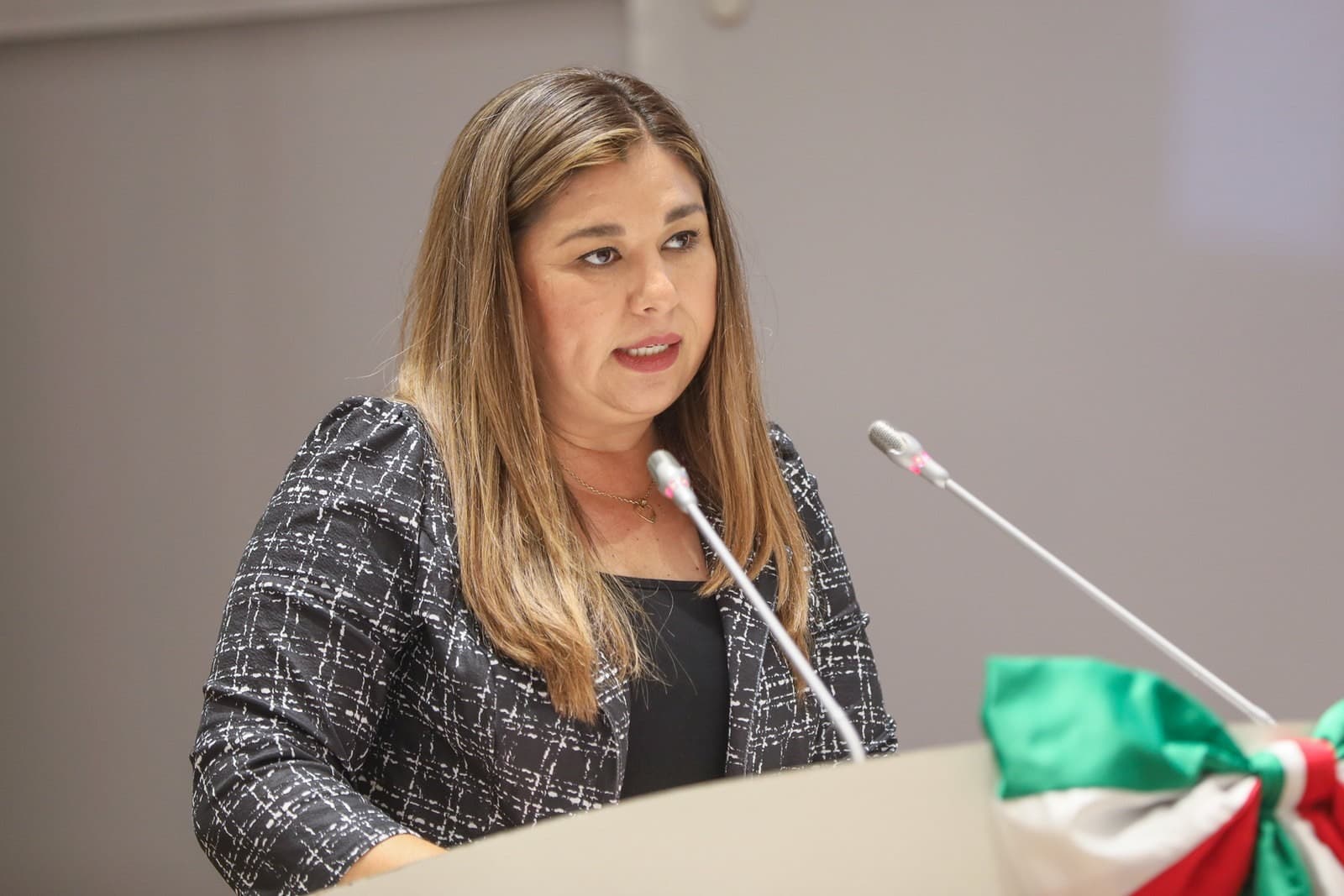 Partido del Trabajo presenta agenda legislativa para responder a las necesidades de la gente
