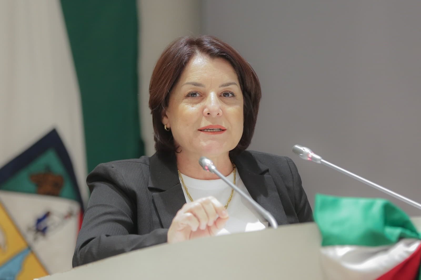 Militarizar la Guardia Nacional es resultado de la incapacidad del Gobierno para brindar seguridad: Bancada Naranja.