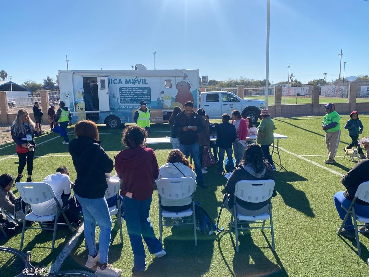 Esteriliza gratis Gobierno de Hermosillo y organización civil a 96 mascotas en Bahía de Kino