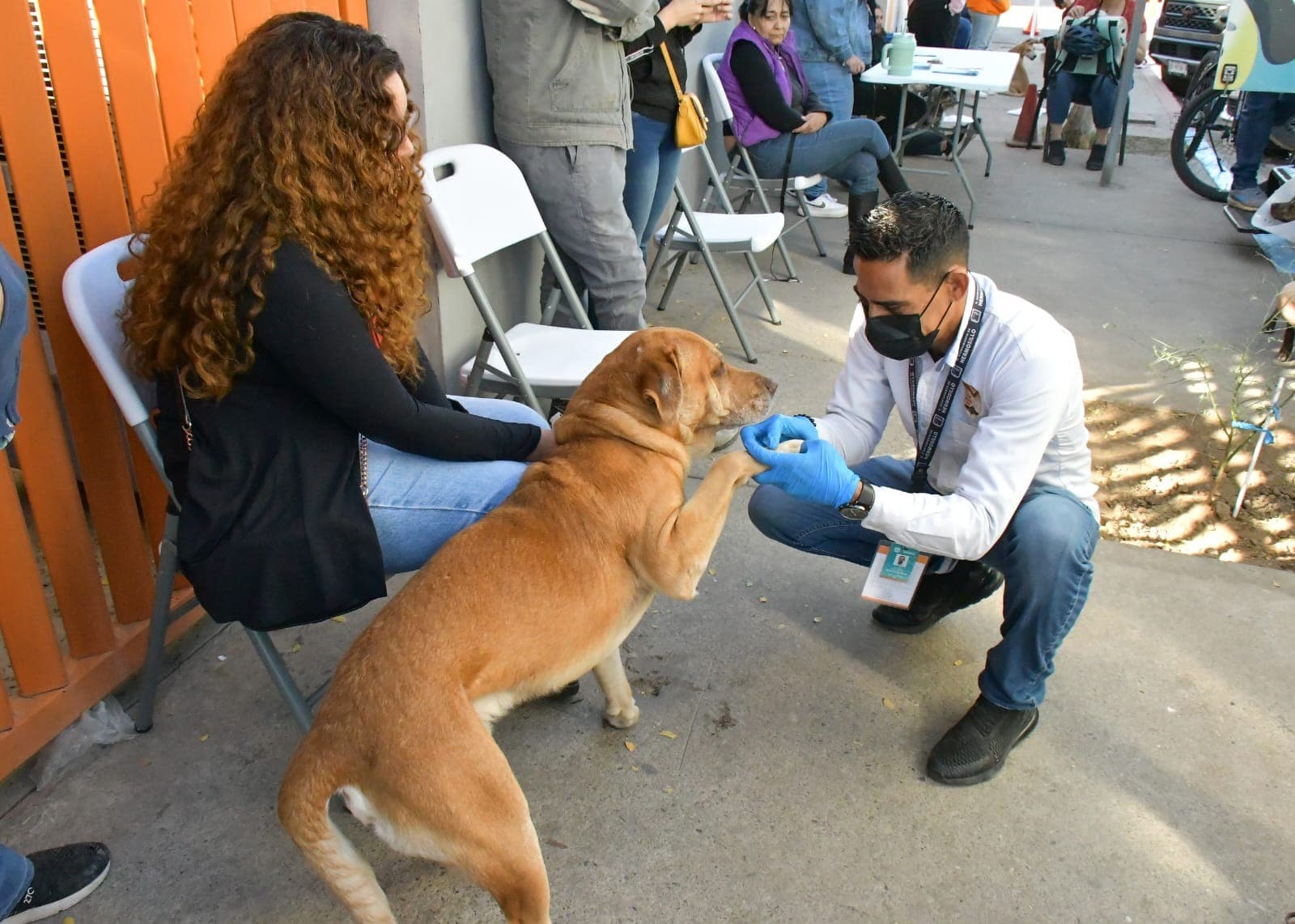 Ayuntamiento de Hermosillo invita a aprovechar las esterilizaciones gratuitas a animales de compañía