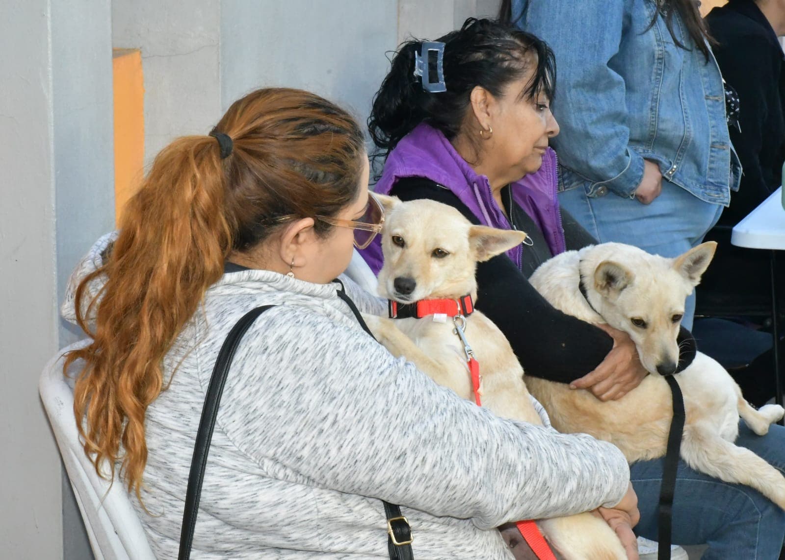 Reitera Gobierno de Hermosillo llamado a estudiantes a participar en el Croquetón 2025