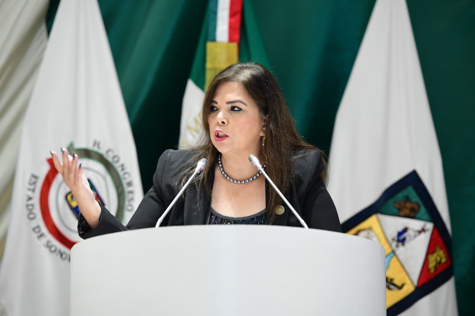Diputada Gabriela Tapia Fonllem presenta reserva al dictamen sobre transparencia, no reelección y nepotismo electoral