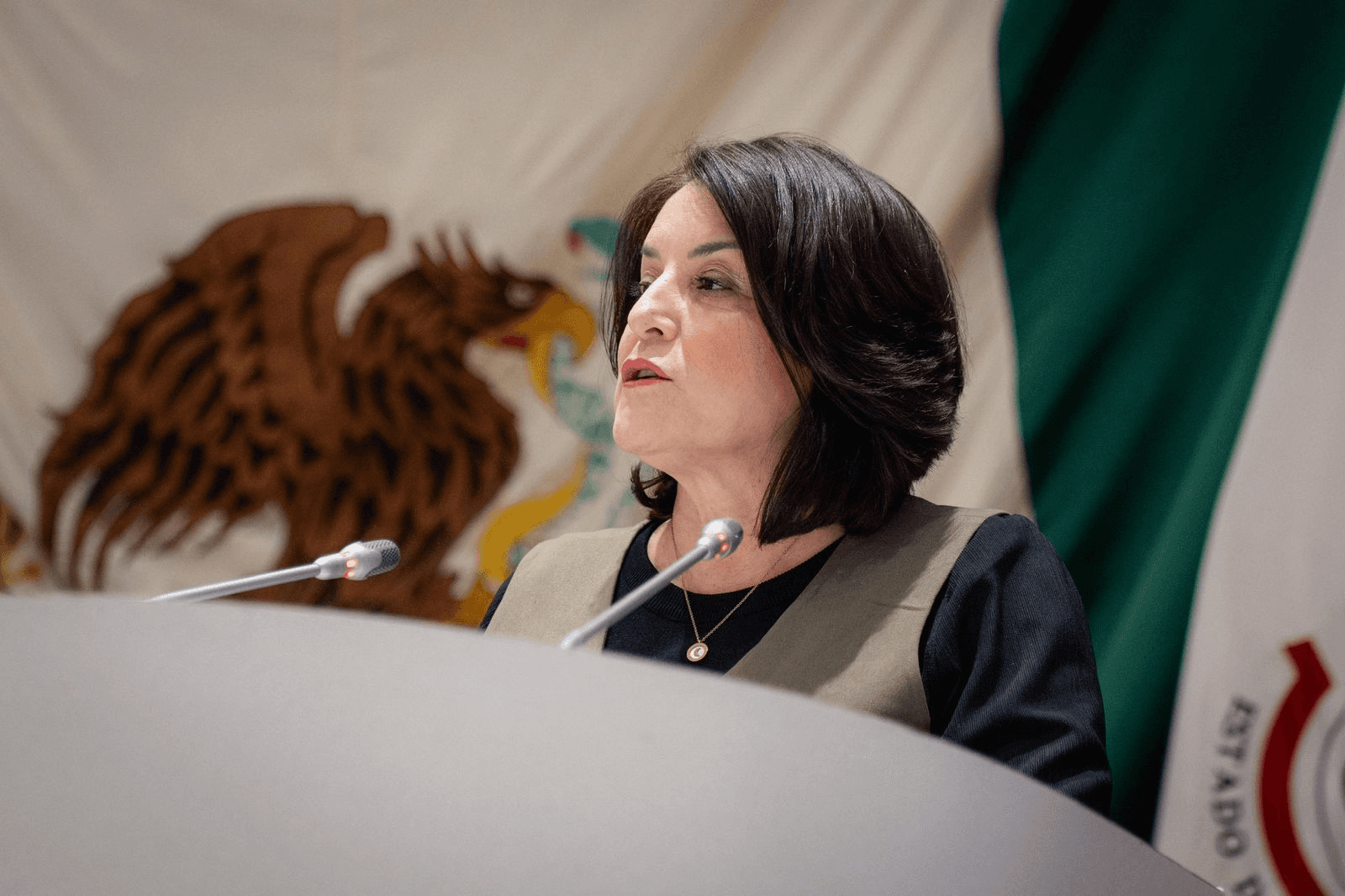 La diputada Gabriela Félix Impulsa “Ley Monse”