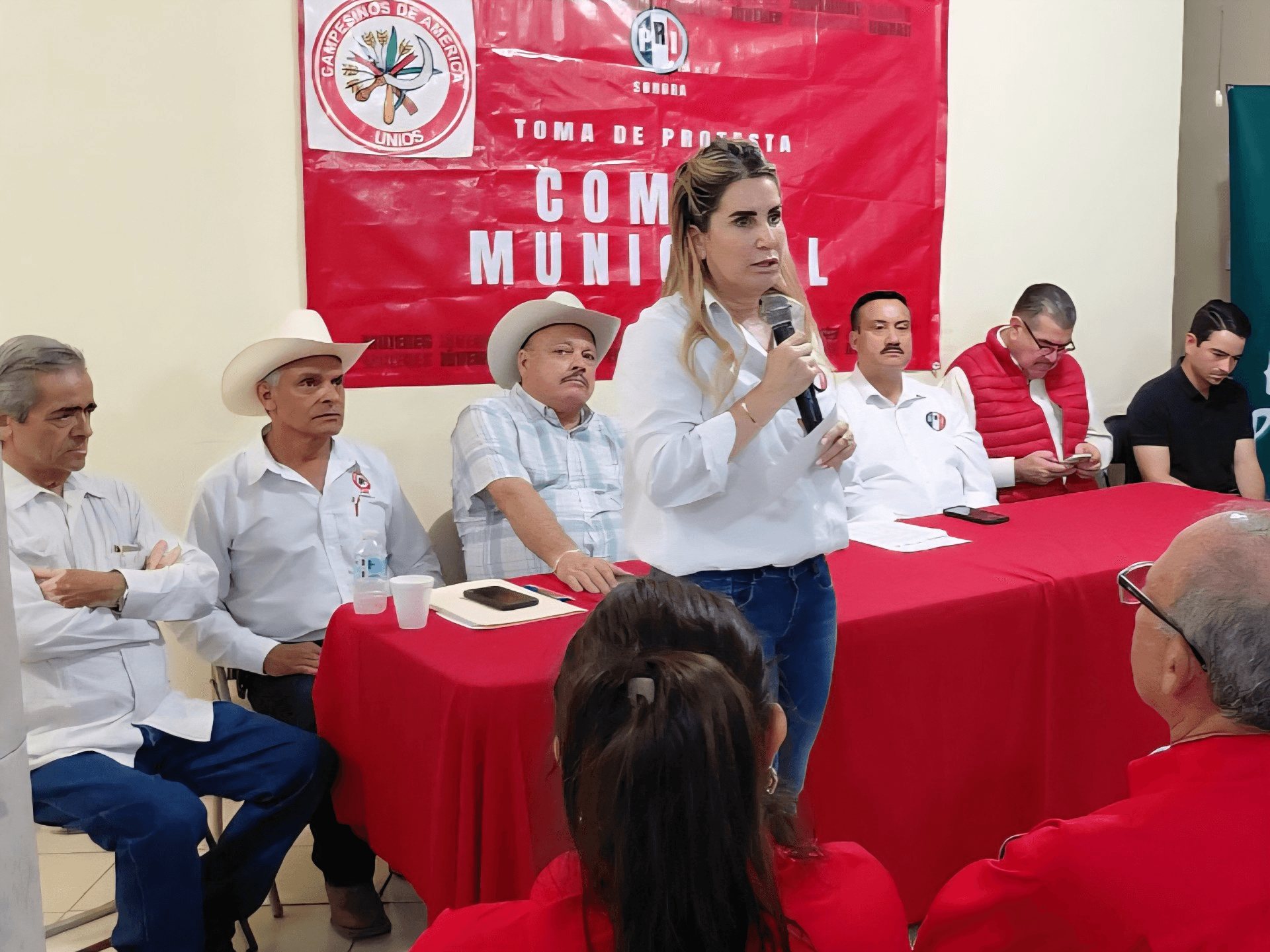 Pide Lupita Soto al priísmo sonorense formar una resistencia contra Morena para sacarlo del poder