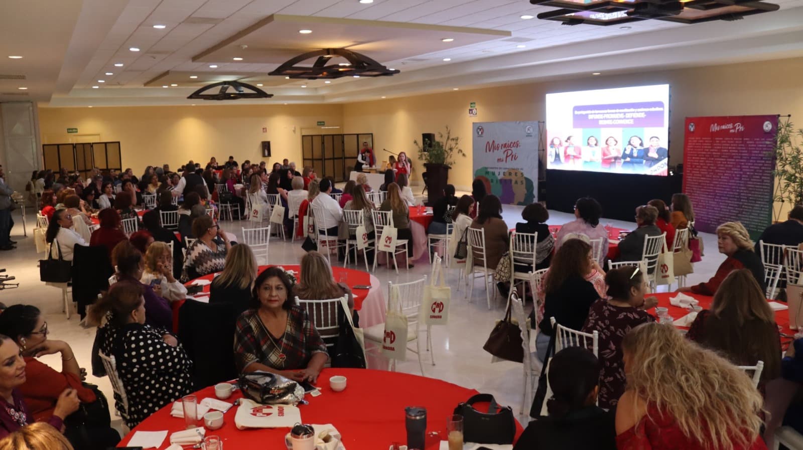 Con la lucha de las mujeres, regresarán a Sonora los buenos gobiernos del PRI: Lupita Soto