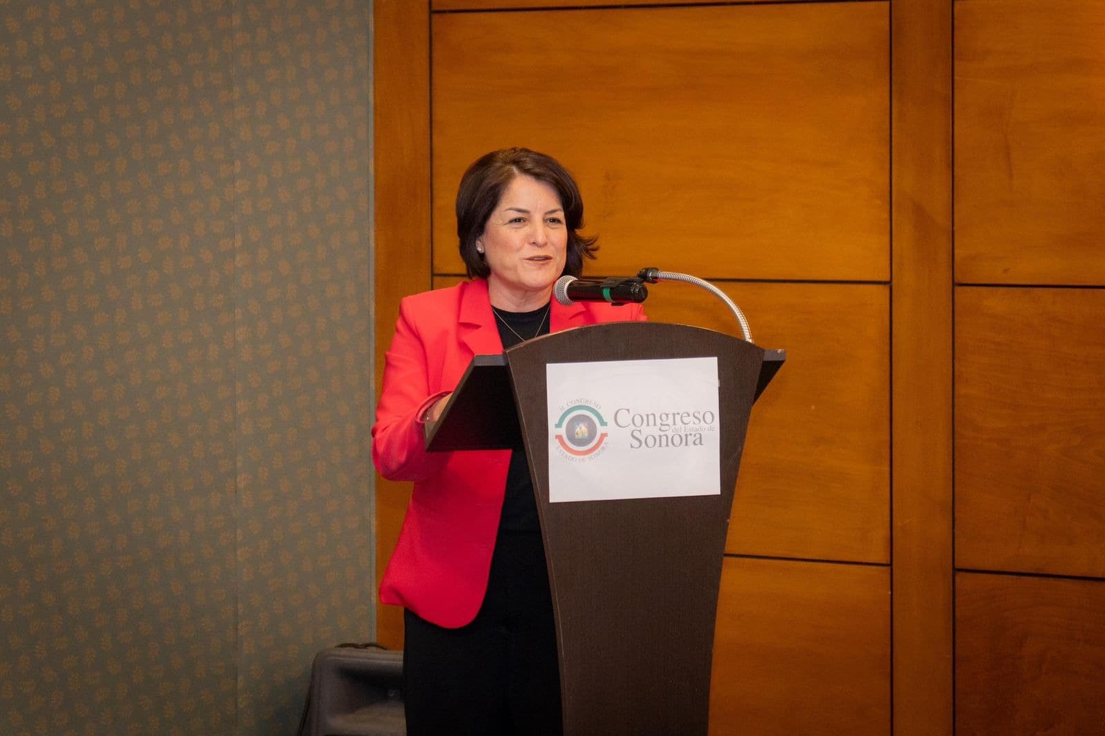 Morena y aliados legislan al vapor ley de personas desaparecidas, por presión judicial; diputada Gaby Félix