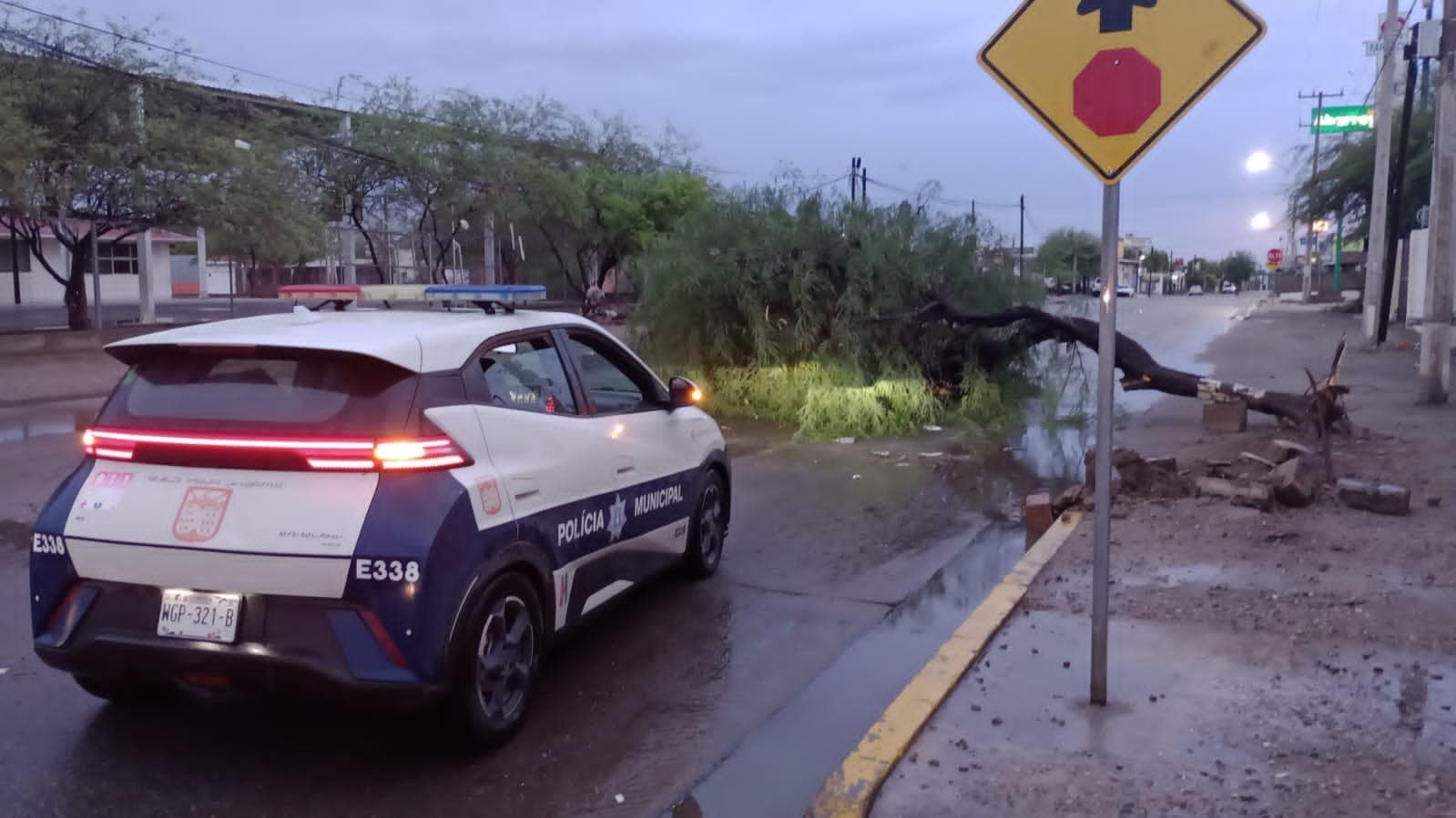 Gobierno Municipal atiende reportes por lluvias y fuertes vientos en Hermosillo