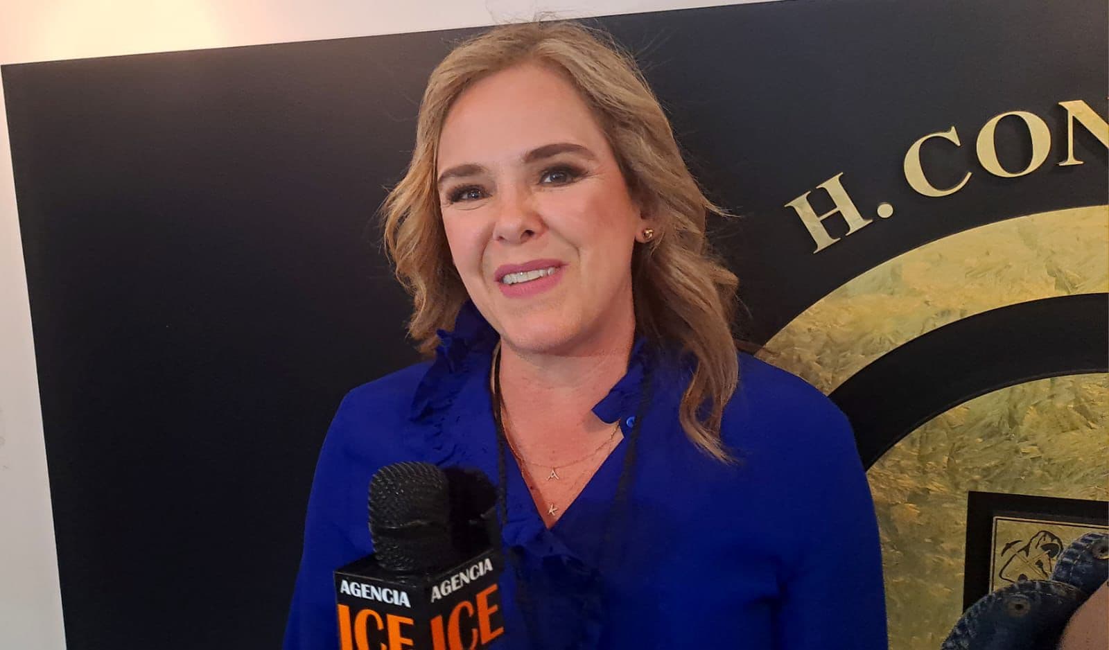 Exige PRI Sonora respeto a derechos político-electorales de Kiki Díaz Brown