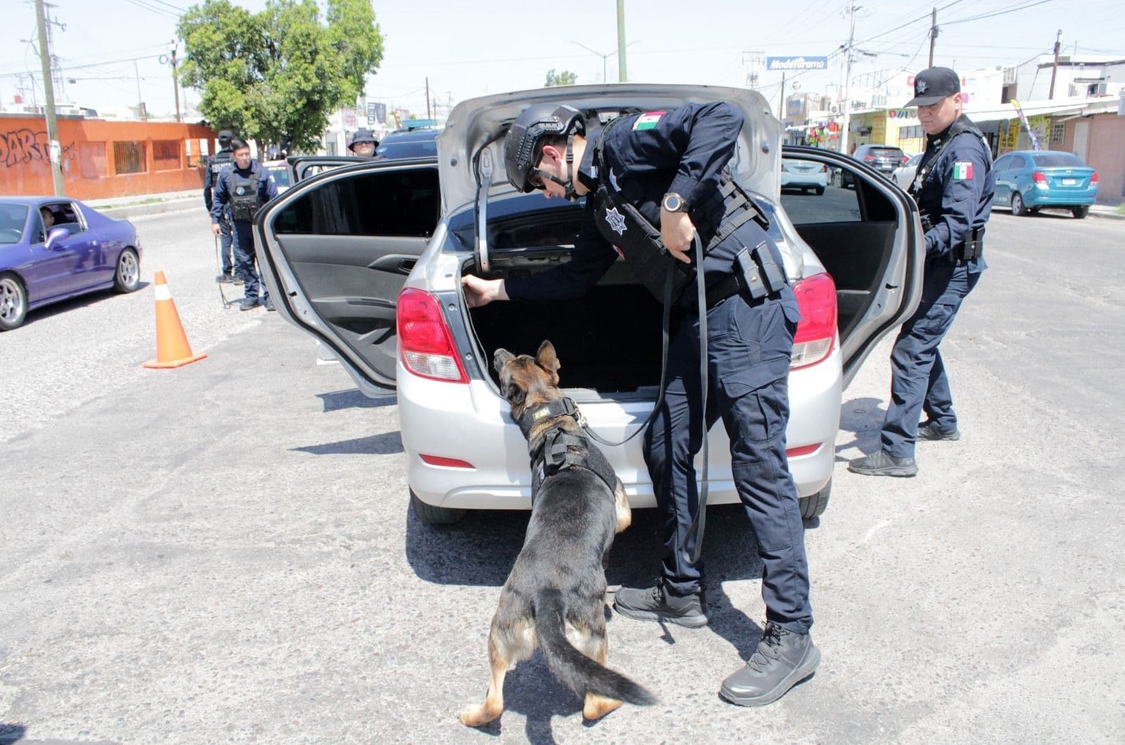 Unidad K9 de Policía Estatal contribuye en acciones de prevención del delito en Sonora