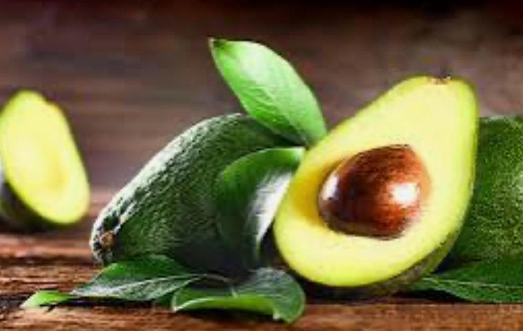 APEAM intensifica colaboración con autoridades para reanudar exportaciones de aguacate de Michoacán a EE.UU.