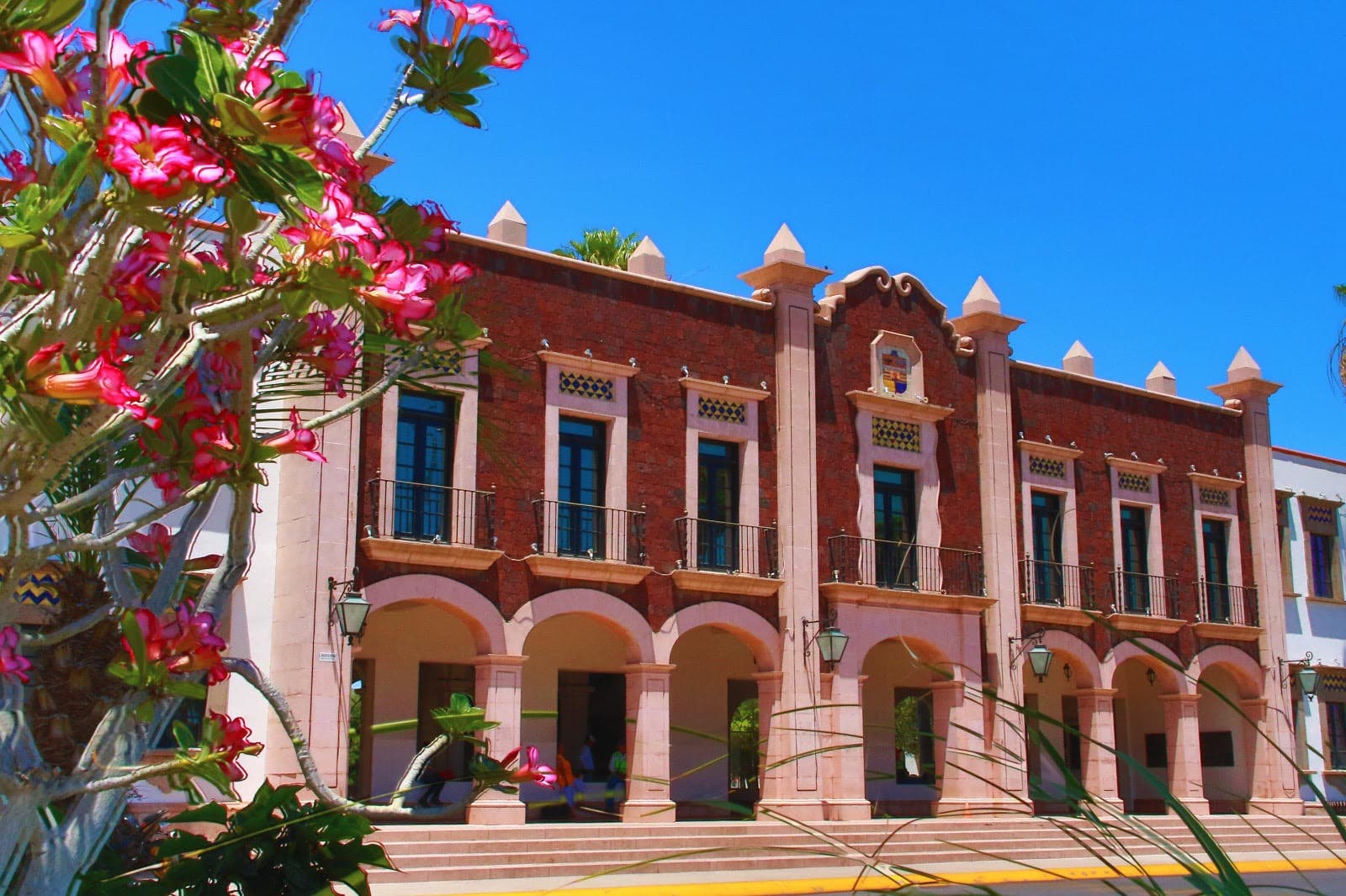 Iniciará Unison el semestre 2024-2 con más de 35 mil 500 alumnos