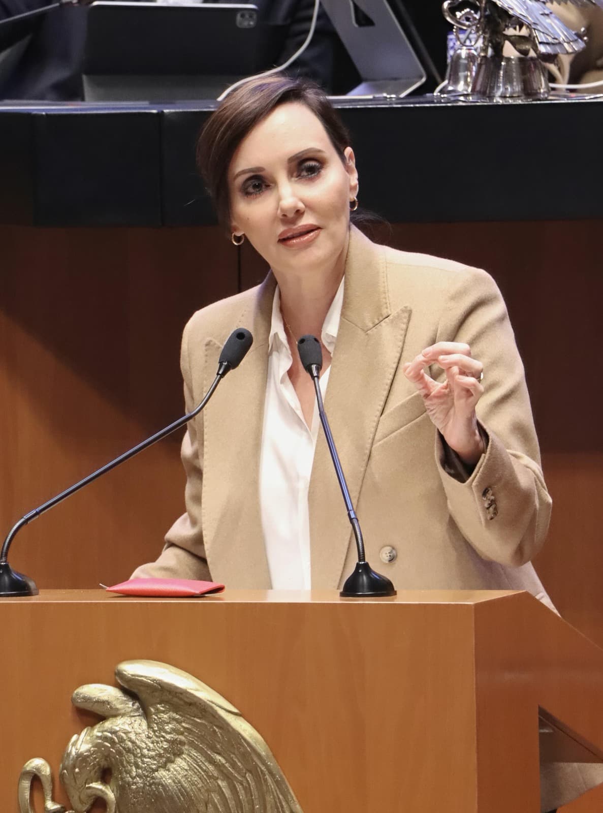 “El gusano barrenador es una amenaza a la economía nacional”: Lilly Téllez