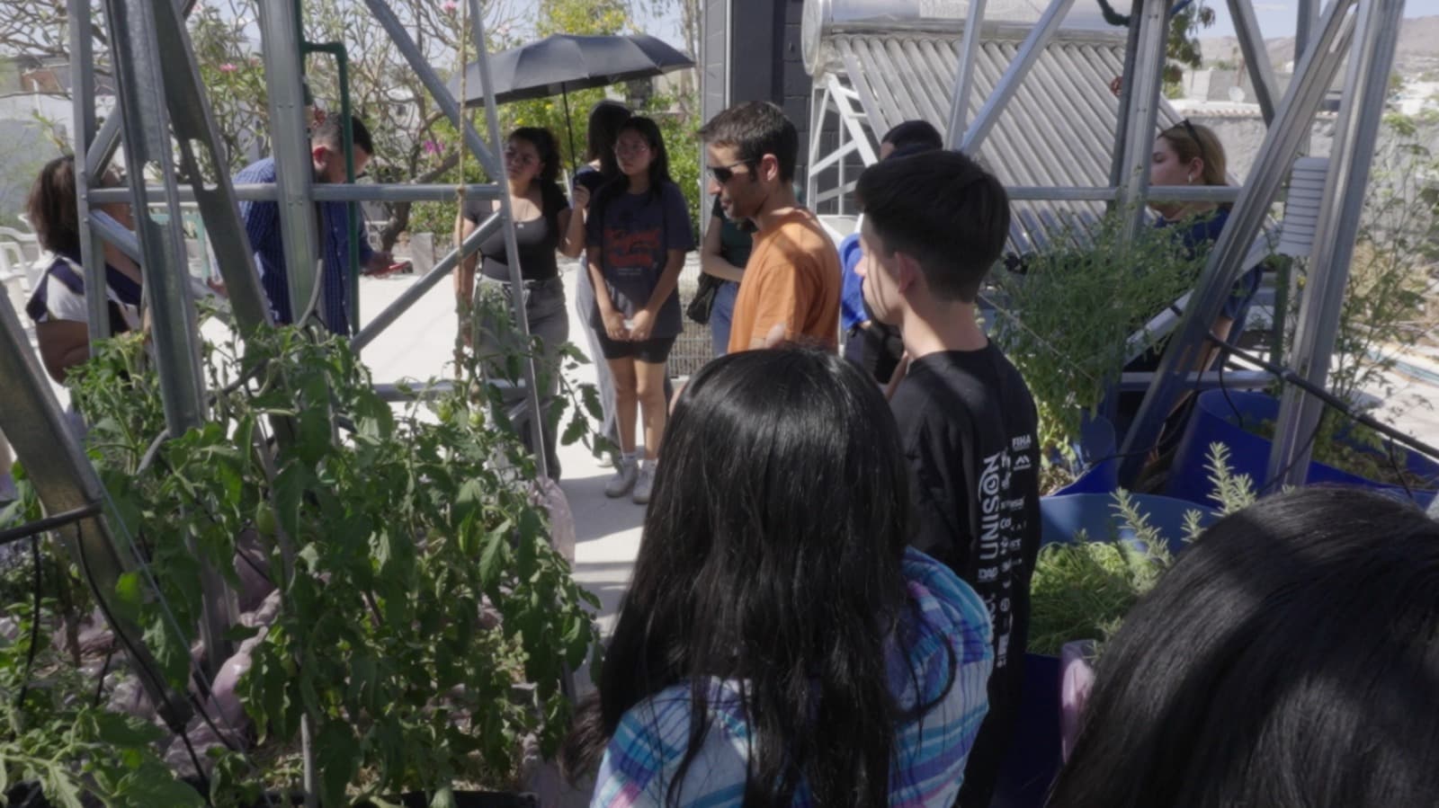 Presentan universitarios proyecto de huerto en azotea, solución en climas semidesérticos
