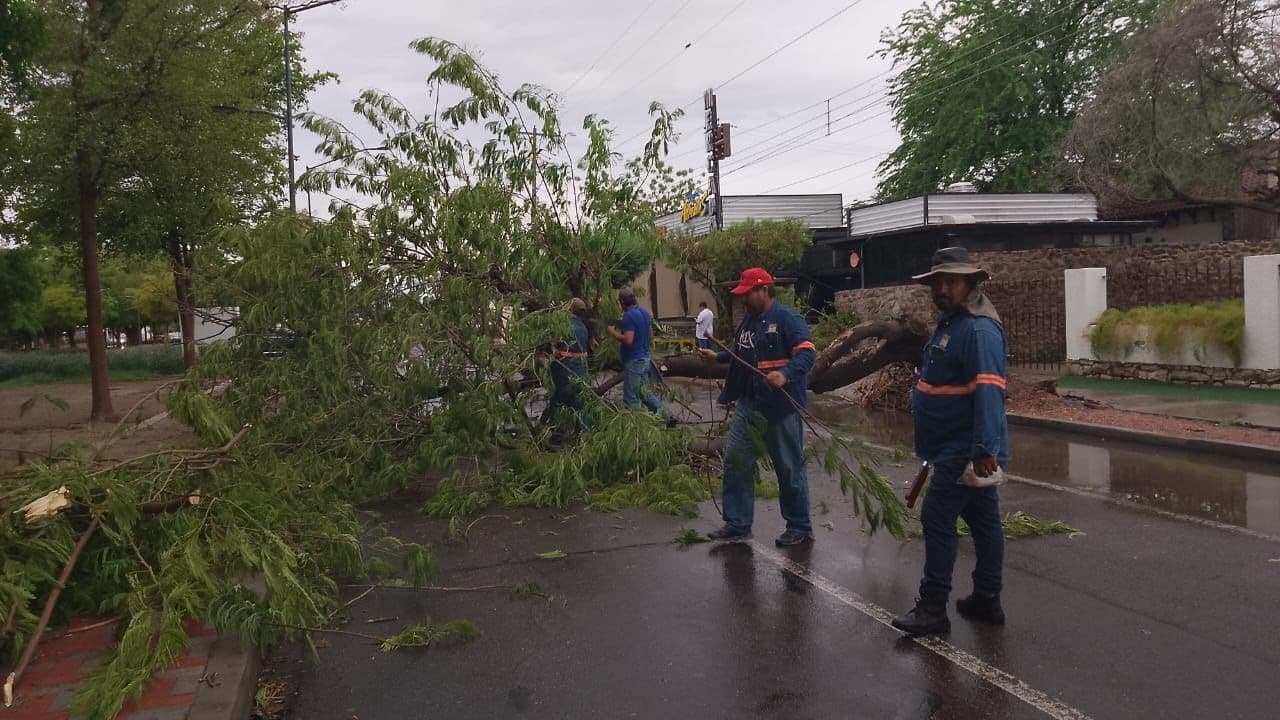 Ayuntamiento de Hermosillo refuerza acciones ante intensas lluvias: Comité de Emergencia en sesión permanente