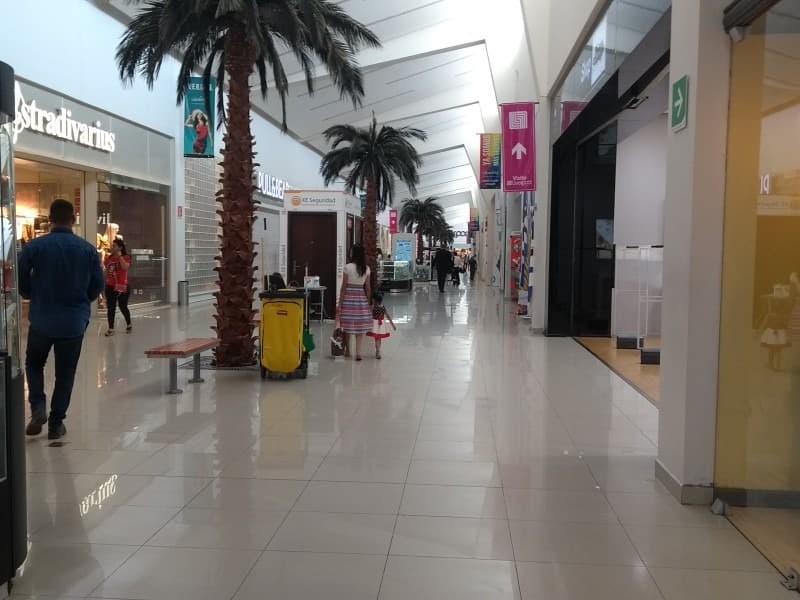 Efectos de Huracán Polo redujo actividad comercial en Hermosillo: Martin Zalazar Zazueta